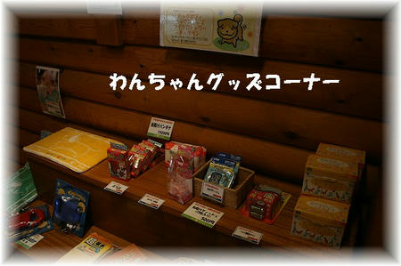 09041214.jpg