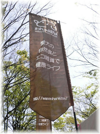 09041906.jpg