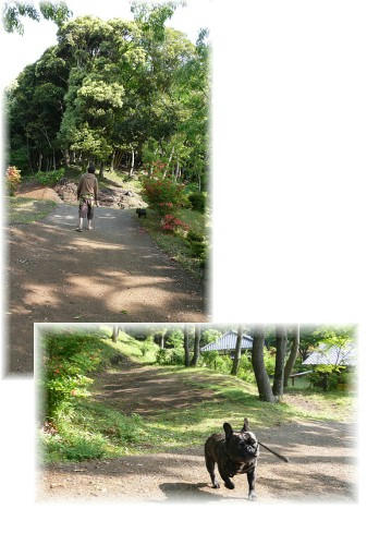 090509006.jpg