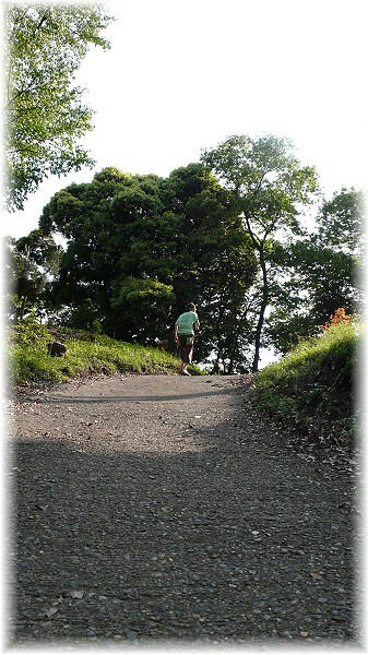 090509011.jpg