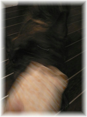 09052201.jpg