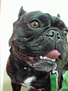 200906111857000.jpg