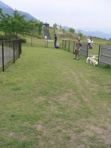 09061409.jpg