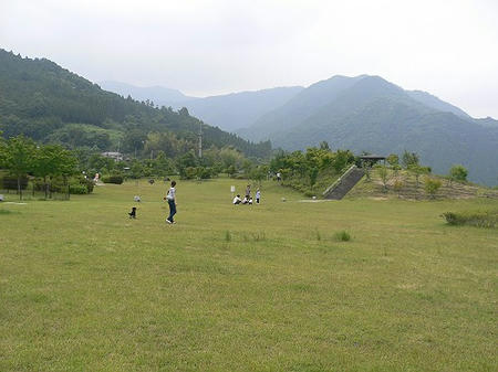 09061410.jpg
