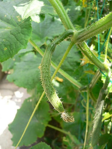 09062202.jpg