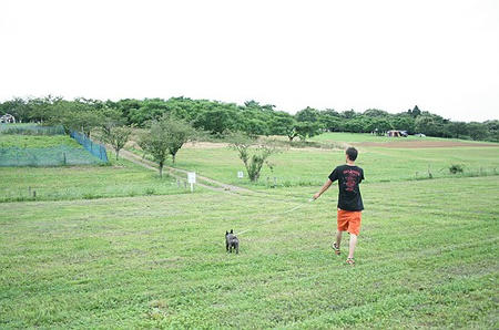 090711005.jpg
