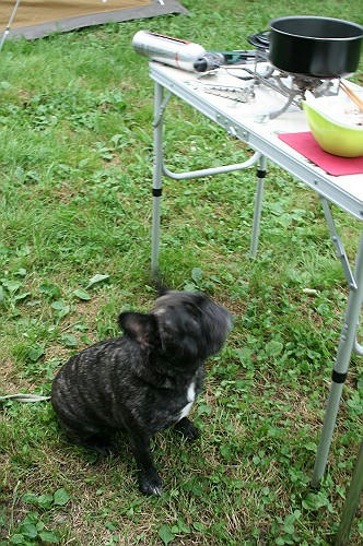090711010.jpg