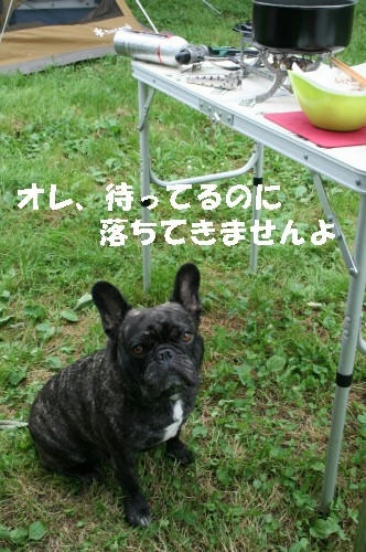 090711011.jpg