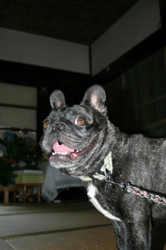 06cfa072.jpg