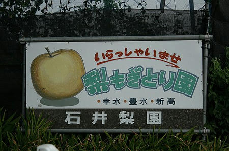 09082306.jpg