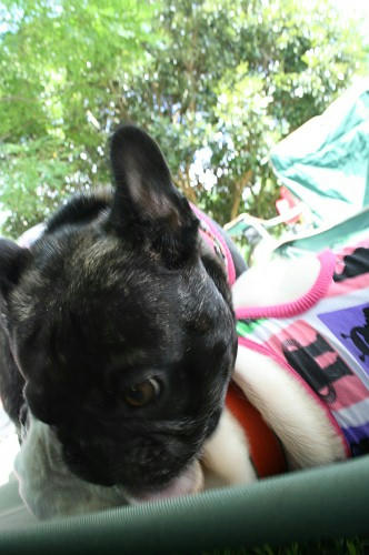 090905008.jpg