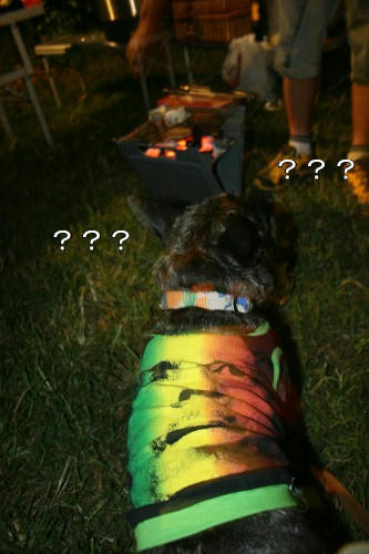 090905013.jpg