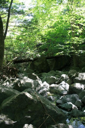 09092109.jpg
