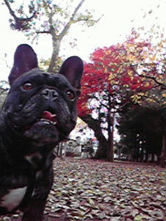200911271327000.jpg