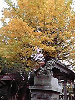 200911271329000.jpg
