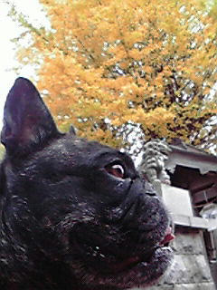 200911271329001.jpg