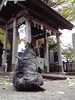 200911271331000.jpg