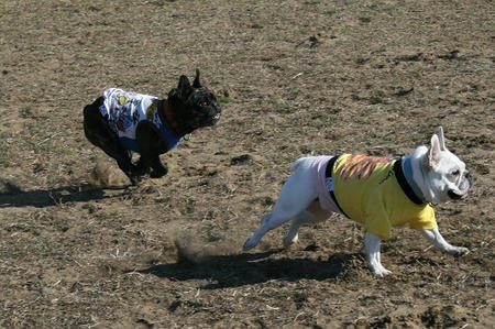 10020104.jpg