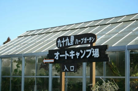 10020106.jpg