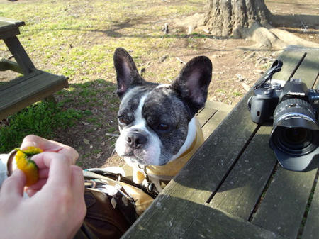 IMG141835.jpg