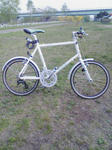 3f399ec5.jpg