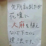 20100205okop.jpg
