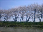DVC00016.JPG