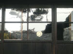 DVC00038.JPG