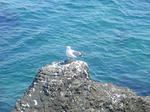 DVC00109.JPG
