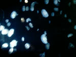 DVC00094.JPG