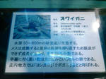 DVC00116.JPG