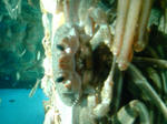 DVC00117.JPG