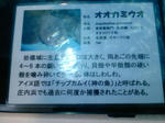 DVC00118.JPG