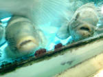 DVC00119.JPG