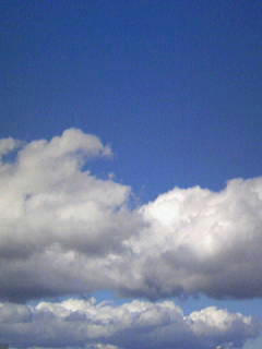 100326_152429.JPG