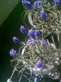 100407_125042_000.JPG