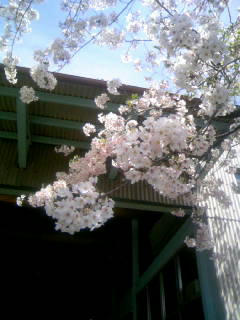100414_111143.JPG