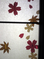 110925_002146.jpg