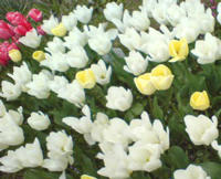 20100410132026.jpg