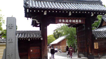 20100527120312.jpg