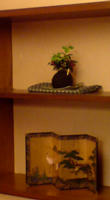 20100526132612.jpg