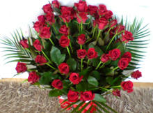 20100626115710.jpg