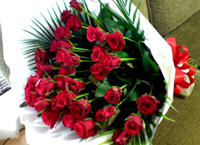 20100626120350.jpg