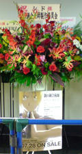 20100731163242.jpg