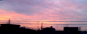 20101024054756.jpg