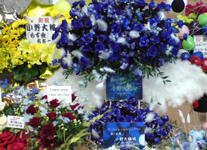 20101225113554.jpg