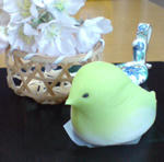 20110221153637.jpg