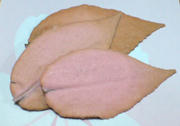 20110306221112.jpg