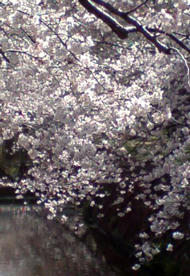 20110406140013.jpg