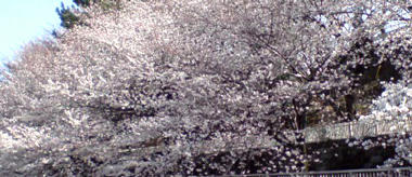 20110406142251.jpg
